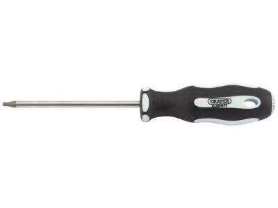 Schroevendraaier T15x100mm